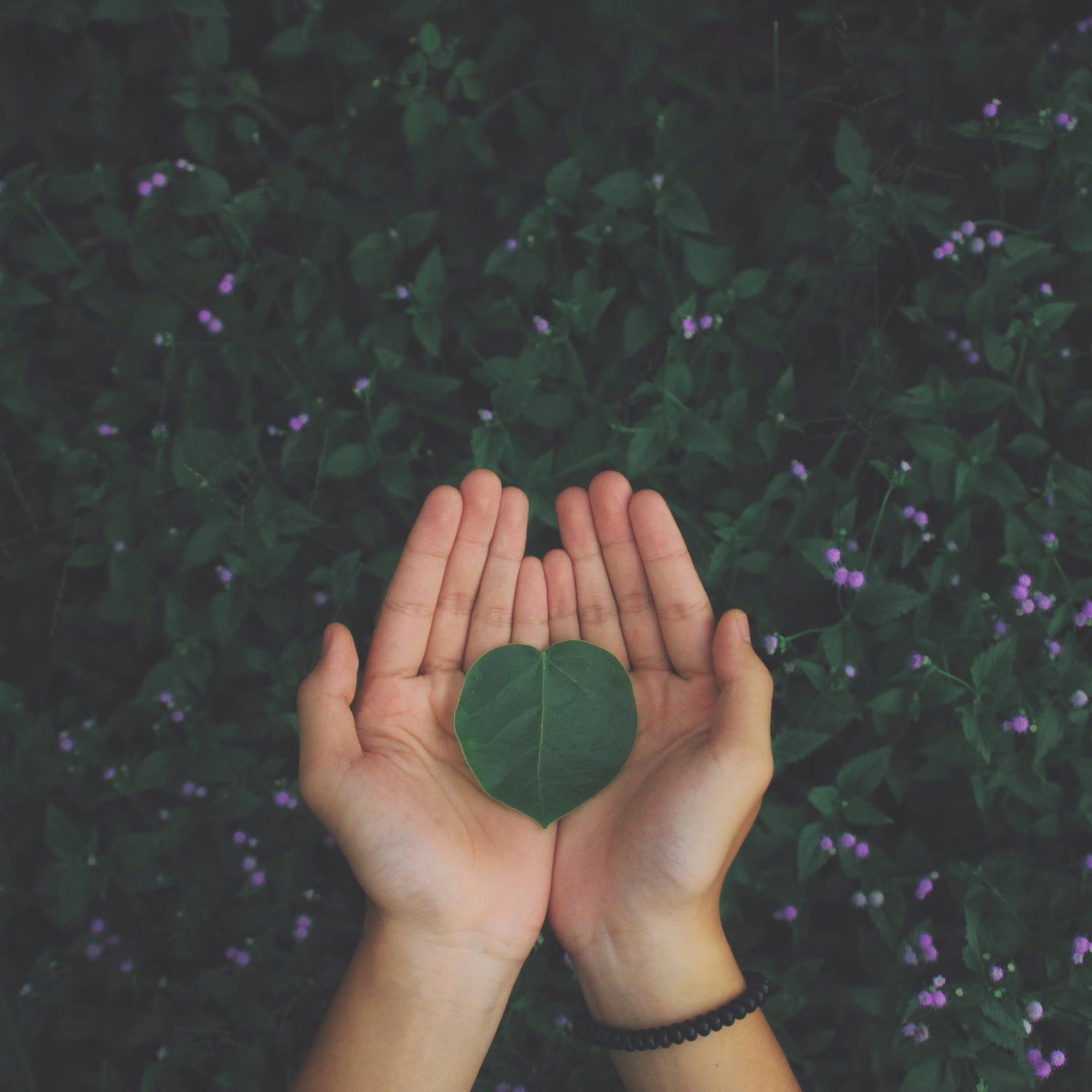 כמה מילים על מחזוריות ועל אקוטי וכרוני